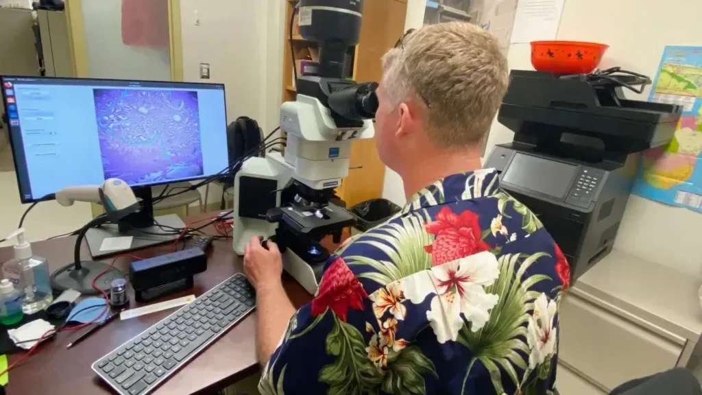 Google AI-Powered Microscope